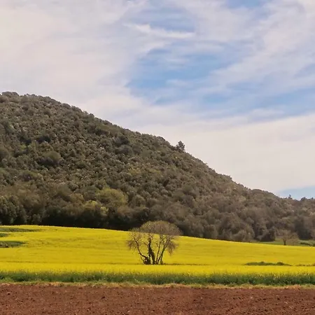 Els Masos De Caula